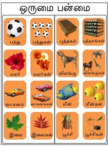 Singular and plural in pictures and Tamil words