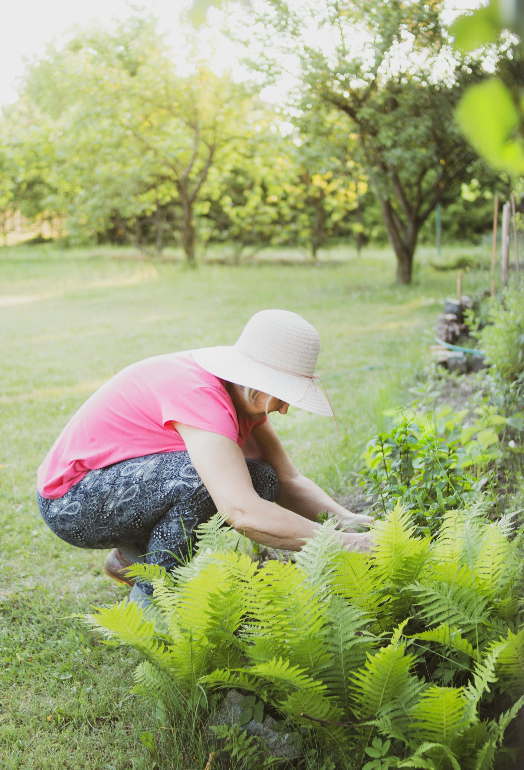 A person gardening