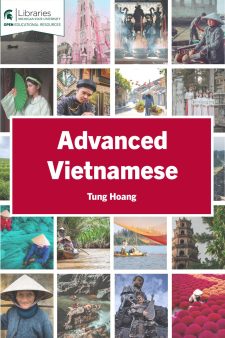 Advanced Vietnamese book cover