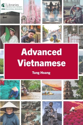 Cover image for Advanced Vietnamese