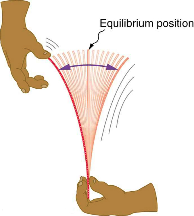 In this figure a hand holding a ruler tightly at the bottom is shown. The other hand pulls the top of the ruler and then releases it. Then the ruler starts vibrating, and oscillates around the equilibrium position. A vertical line is shown to mark the equilibrium position. A curved double-headed arrow shows the span of the oscillation.