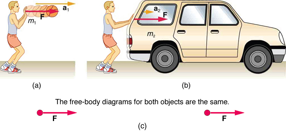 (a) A basketball player pushes the ball with the force shown by a vector F toward the right and an acceleration a-one represented by an arrow toward the right. M sub one is the mass of the ball. (b) The same basketball player is pushing a car with the same force, represented by the vector F towards the right, resulting in an acceleration shown by a vector a toward the right. The mass of the car is m sub two. The acceleration in the second case, a sub two, is represented by a shorter arrow than in the first case, a sub one.
