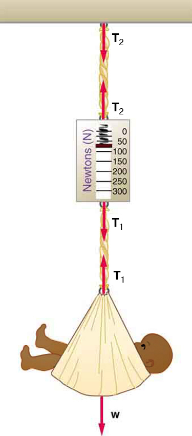 A vertical spring scale measuring the weight of a baby is shown. The scale is hung from the ceiling by a cord. The weight W of the baby is shown by a vector arrow acting downward and tension T sub one acting in the cord is shown by an arrow upward. The tension in the cord T sub two attached to the ceiling is represented by an arrow upward from the spring scale and downward from the ceiling.