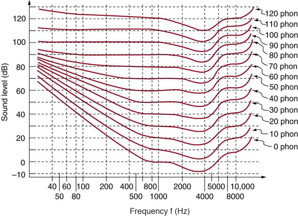 A graph of variation of sound level versus frequency is shown. The sound level is along Y axis and frequency is along X axis. There are thirteen curves each for some count on phons from zero to one hundred and twenty with an interval of ten. The graphs are similar in shape but rising in value with increase in phons. The graph has an initial fall from maximum value on Y axis reaches a minimum and then there is a wavy rise.