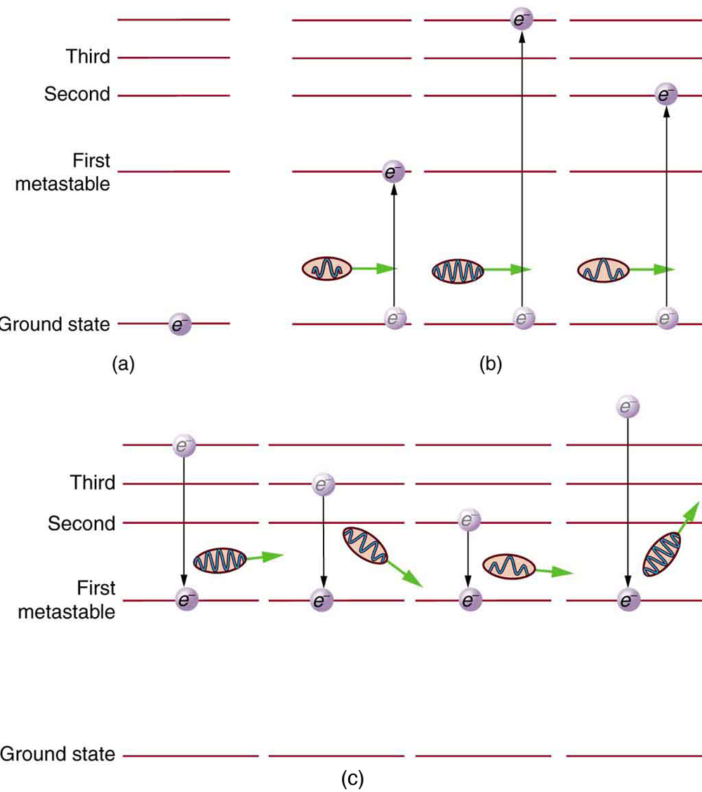 Several layers of parallel lines showing different levels of energy of an atom. The lowest level is ground state, one level up is first metastable state, next level is second metastable state, and so on. In part a, an atom is in the ground state. In part b, atoms move to different states depending on the energy input in the form of photons. An atom with minimum energy input moves to the first metastable level. One with a greater energy input moves to the second level. One with even greater input moves to the fourth level. In part c, atoms originally at levels above the first metastable state give off energy in the form of photons as they drop back down to the first metastable state. The greater the drop, the more energy is given off.