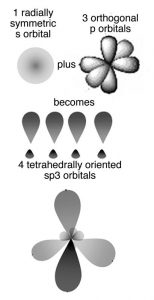 An image of different kinds of orbitals. On the top left side there is a circle named "1 radically symmetric s orbital." To the right side there is six sided stretched ovals connecting in the middle named "3 orthogonal p orbitals." Below the two shapes is another shape that combines both into four large explanation points named "4 tetrahedrally orientated sp3 orbitals." And lastly, on the bottom, the four explanation points are combined together.