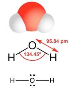 An image of three different diagrams. The first diagram is a orange sphere connected to two white spheres. The second diagram is a Lewis structure with the letter O connected to two letter H's. The angle between the two H's are 104.45 degrees. And the distance from one O to an H is 95.84 pm. Lastly the third diagram is a dot structure with the letter O that has two dots on top and bottom. And has two letter H's connected to it.