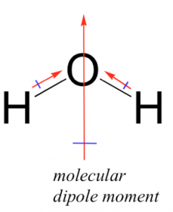 An image of a Lewis Structure with a letter O connected to two letter H's. The line connecting the H's to the O have a red arrow pointing towards O. And a big red arrow point up in the middle of the letter of the O to the label "molecular dipole moment" which is at the bottom of the structure.