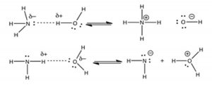 An image of two Lewis structure equations. The first equation starts off with the letter N with a label "sigma -" and that has two dots to the right side. Then 3 letter H's connected by a line to the top, left, and bottom. To the right side there is a dotted line connected to a letter H with a label of "sigma +." Which is connected to the letter O that has two dots on the right and bottom side, and is connected to another letter H on the top. To the right side there are two arrows one pointing left and another to the right. To the right of that there is a letter N connected to four letter H's on every side with a label of "-." And to the right of that there is a letter O, that has a label "-," with two dots on the top, left, and the bottom with a letter H to the right side. Then to the bottom starts equation two with a letter N with two dots on the top, and three letter H's connected to the left, bottom, and right. The right H has a label of "sigma +" and has a dotted line connected to a letter O. The letter O has a label of "sigma -, " and has two dots to the left and bottom. The letter O is also connected to two letter H's to the top and the bottom. To the right side there is two arrows one pointing left and another pointing to the right. And to the right of that there is a letter N with a label of "-" and two dots to the top and the right side. And is connected to two letter H's to the left and bottom side. Next to that on the right side there is a plus sign. And to the right of that there is a letter O with a label of "+" and with two dots to the bottom side. And is connected to three letter H's.