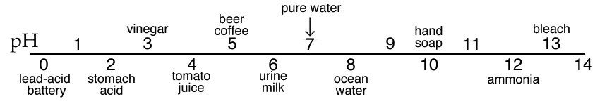 An image of a number line labeled as "pH" starting of with the number 0 and ending with 14. Starting with 0 the label is "lead-acid battery." The number two has a label of "stomach acid." The number 3 is labeled as "vinegar." The number 4 is labeled as "tomato juice." The number 5 is labeled as "beer coffee." The number 6 is labeled as "urine milk." The number 7 is labeled as "pure water." The number 8 is labeled as "ocean water." The number 10 has a label of "hand soap." The number 12 is labeled as "ammonia." And lastly the number 13 is labeled as "bleach."