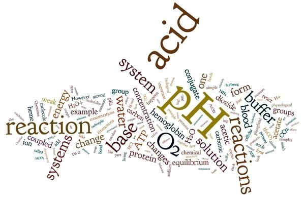 An image of a word cloud, with the biggest words being: pH, acid, reaction, and system.