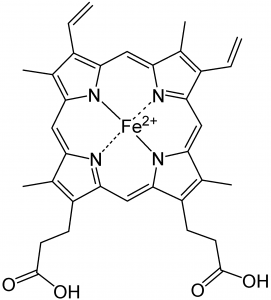 An image of "Fe2+" in the middle and then connected to the letter N on the top and bottom left and right sides. And everything is shaped into multiple pentagons and that lastly connects to two branches that have O and OH on the bottom left and right side.