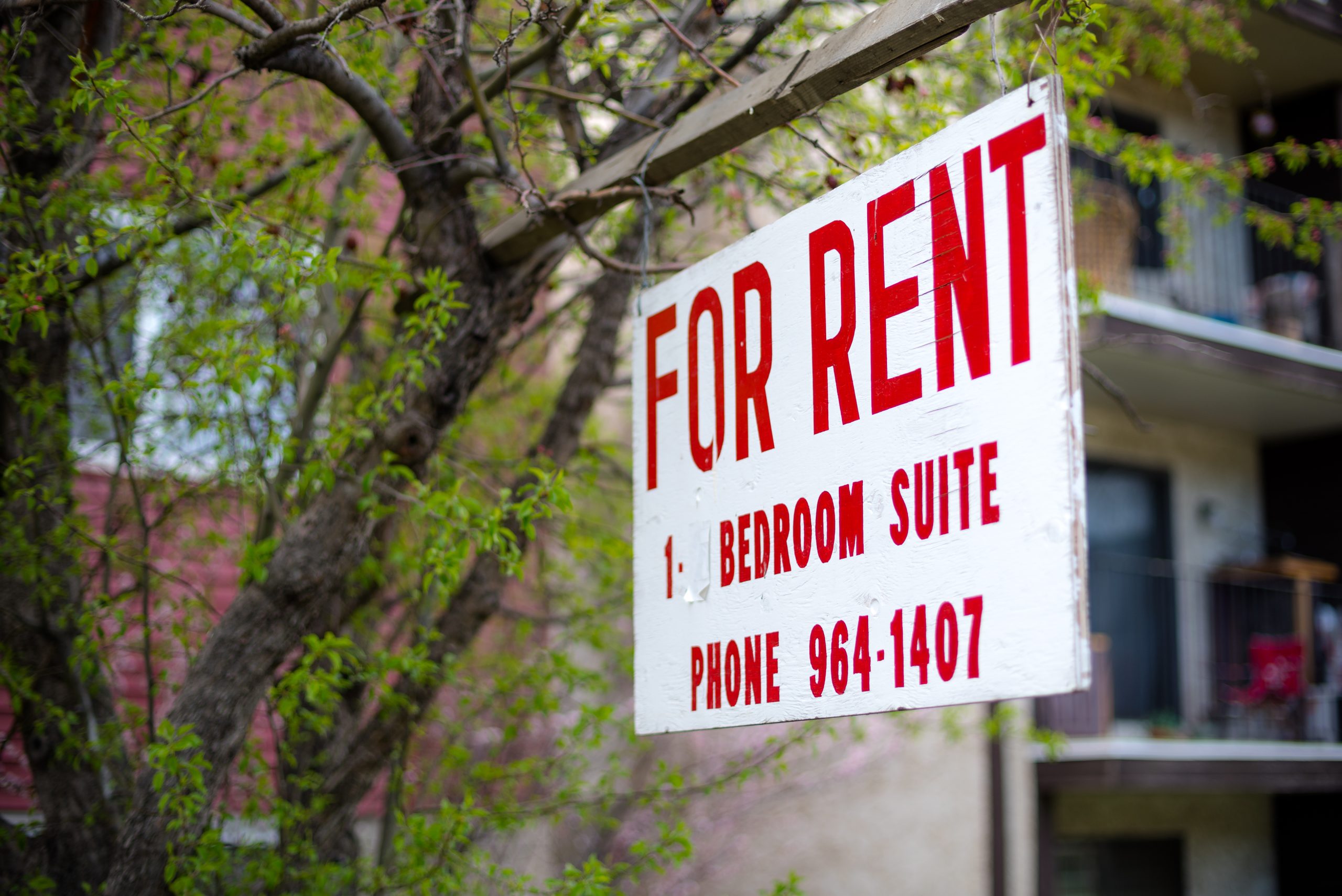sign that reads: for rent, 1 bedroom suite, with a phone number