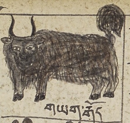 simple illustration of a Yak with Tibetan text below