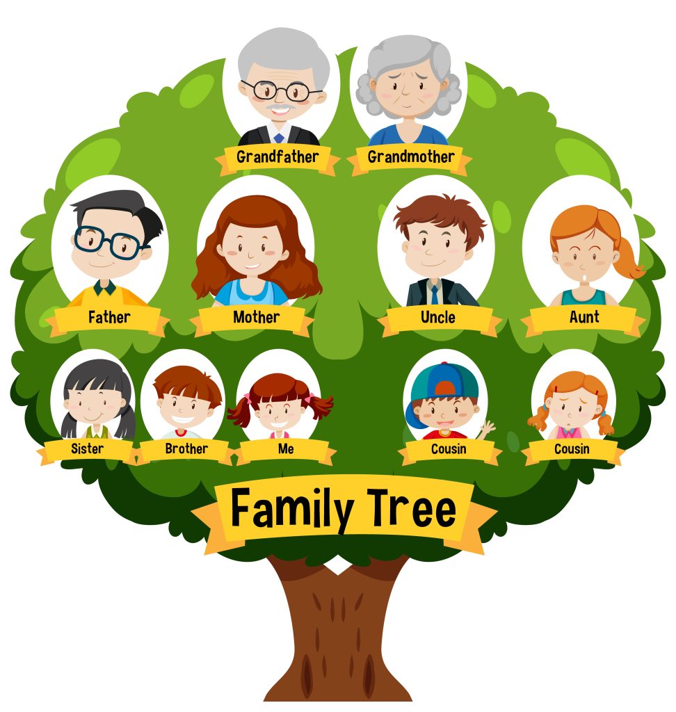Diagram showing three generation family tree illustration