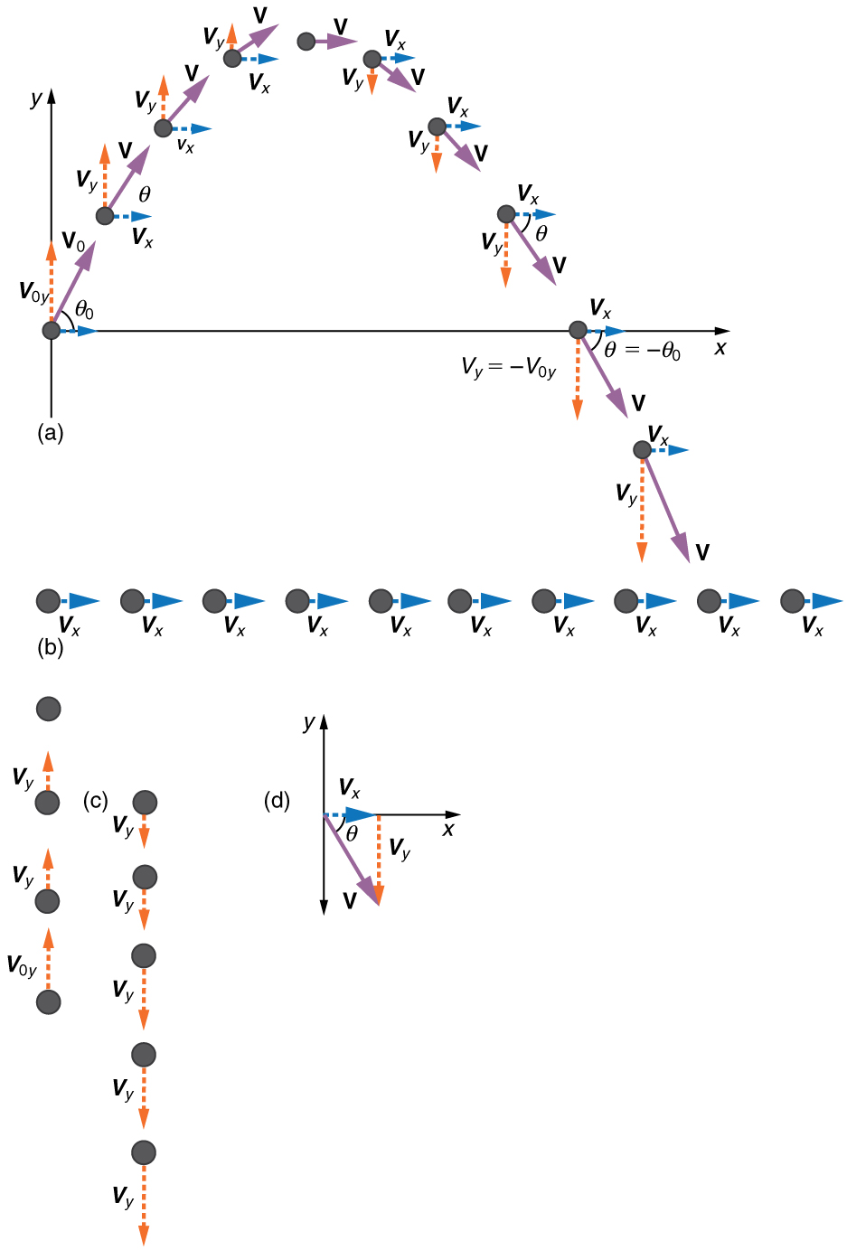 In part a the figure shows projectile motion of a ball with initial velocity of v zero at an angle of theta zero with the horizontal x axis. The horizontal component v x and the vertical component v y at various positions of ball in the projectile path is shown. In part b only the horizontal velocity component v sub x is shown whose magnitude is constant at various positions in the path. In part c only vertical velocity component v sub y is shown. The vertical velocity component v sub y is upwards till it reaches the maximum point and then its direction changes to downwards. In part d resultant v of horizontal velocity component v sub x and downward vertical velocity component v sub y is found which makes an angle theta with the horizontal x axis. The direction of resultant velocity v is towards south east.