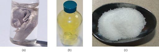 Three pictures are shown and labeled “a,” “b,” and “c,” from left to right. Image a shows a glass jar with a lid that is full of a clear, colorless liquid in which a silver solid is suspended. Image b depicts a glass bottle with a blue lid that is full of a yellow-green gas. Image c shows a black dish that is full of a white, crystalline solid.