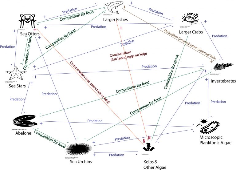 Species Interactions – An Interactive Introduction To Organismal And ...