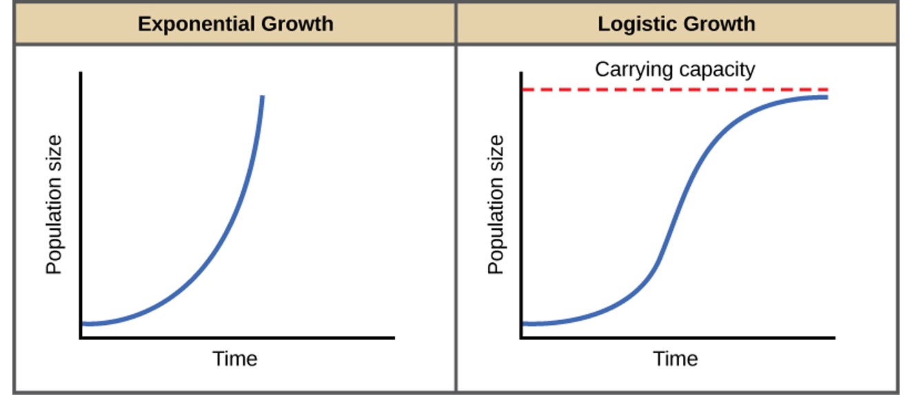 exponential population growth graph