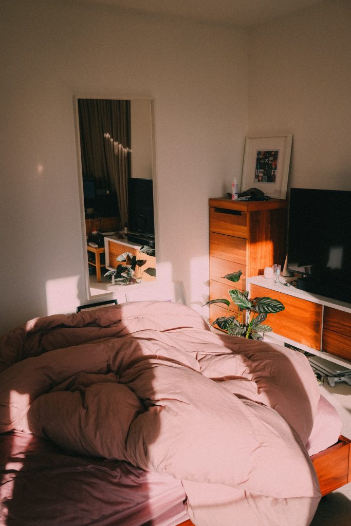 A bedroom with a plant, a photo, a TV, and a few furniture