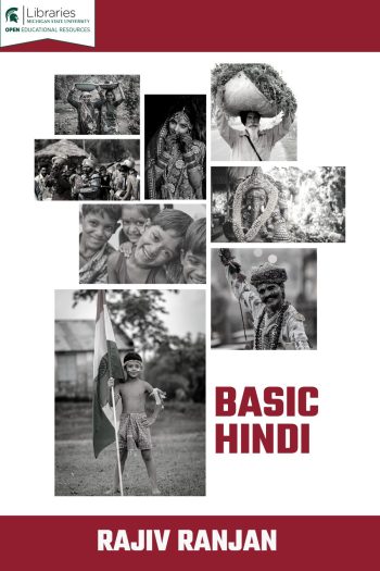Cover image for Basic Hindi