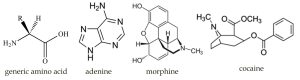 Molecule structure for generic amino acid, adenine, morphine, and cocaine.