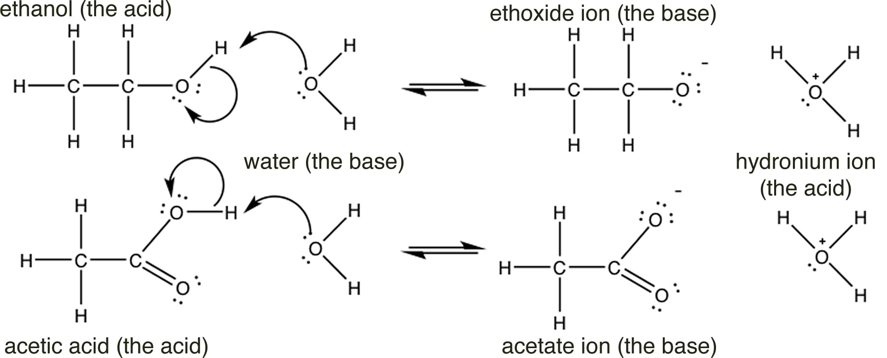 Chapter 1: Acid–Base Reactions – OCLUE: Organic Chemistry, Life, the ...