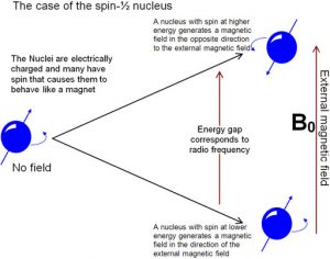 A diagram of nucleus spinning while external magnetic field increases.