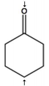 A Lewis Structure of 2-methylbutane.