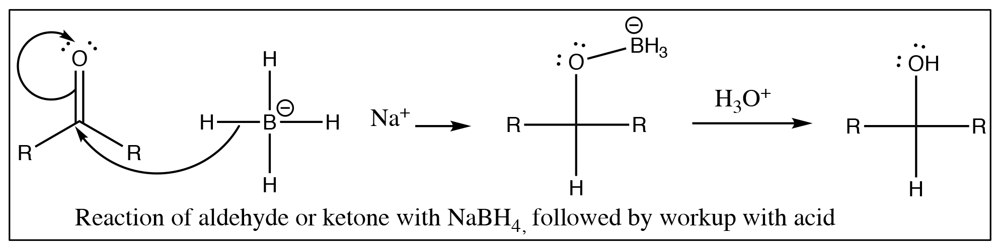 Chapter 7: Nucleophilic attack at the carbonyl carbon: – OCLUE: Organic ...