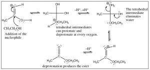 an image of a reaction of esterifications.