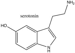 An image of serotonin.