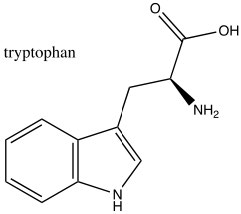 An image of tryptophan.