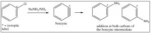 An image of benzyne reaction adding H+ and Y-.