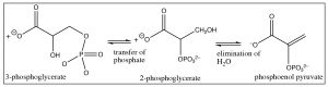 An image of a reaction of transferring of phosphate.