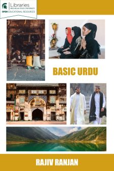 Basic Urdu book cover