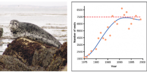 Seal population from 1975 to 2000; in 1975, there are 1800 seals, then it increases until reaching 7500 seals at 1995, and then population growth levels off.