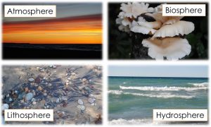 Atmosphere (image of a sunset), biosphere (image of fungus growing on a tree), lithosphere (image of sand and rocks), and hydrosphere (image of waves).