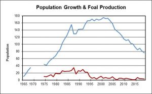 Population growth and foal production over time: population increases from 1975 to 1990. It is stable until the mid-2000's and has been dropping since. Foal production is stable at about 30 per year, then drops to about 5-10 per year in 1995.