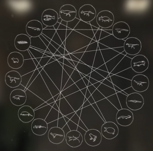 20 species on the outside of a circle and each species is connected to at least two other species with lines.