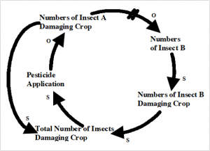 Cycle diagram. If we start at one point, "numbers of insect B" leads to "numbers of insect B damaging crop" leads to "total number of insects damaging crops" leads to "pesticide application" leads to "numbers of insect A damaging crop" and leads back to "numbers of insect B." "Number of insect A damanging crop" also leads to "total number of insects damaging crop."
