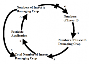 Cycle diagram. If we start at one point, &quot;numbers of insect B&quot; leads to &quot;numbers of insect B damaging crop&quot; leads to &quot;total number of insects damaging crops&quot; leads to &quot;pesticide application&quot; leads to &quot;numbers of insect A damaging crop&quot; and leads back to &quot;numbers of insect B.&quot; &quot;Number of insect A damanging crop&quot; also leads to &quot;total number of insects damaging crop.&quot;