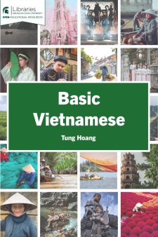 Basic Vietnamese book cover