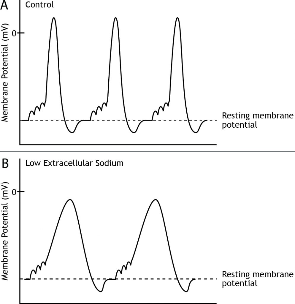 Graphs showing action potentials in control and low extracellular sodium environments. Details in caption.