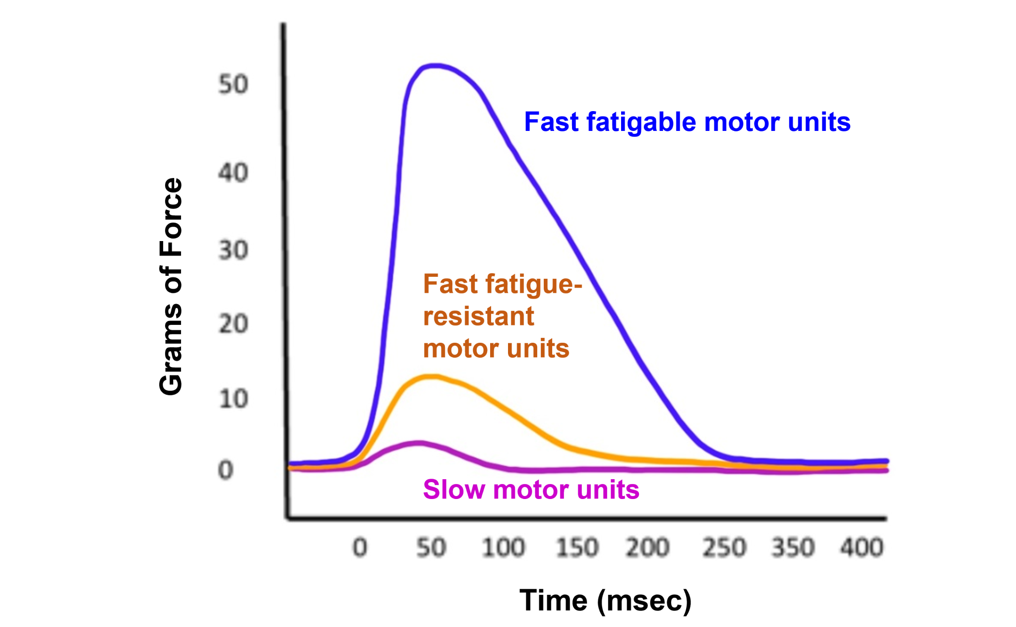 Spinal Motor Control and Proprioception Introduction to Neuroscience