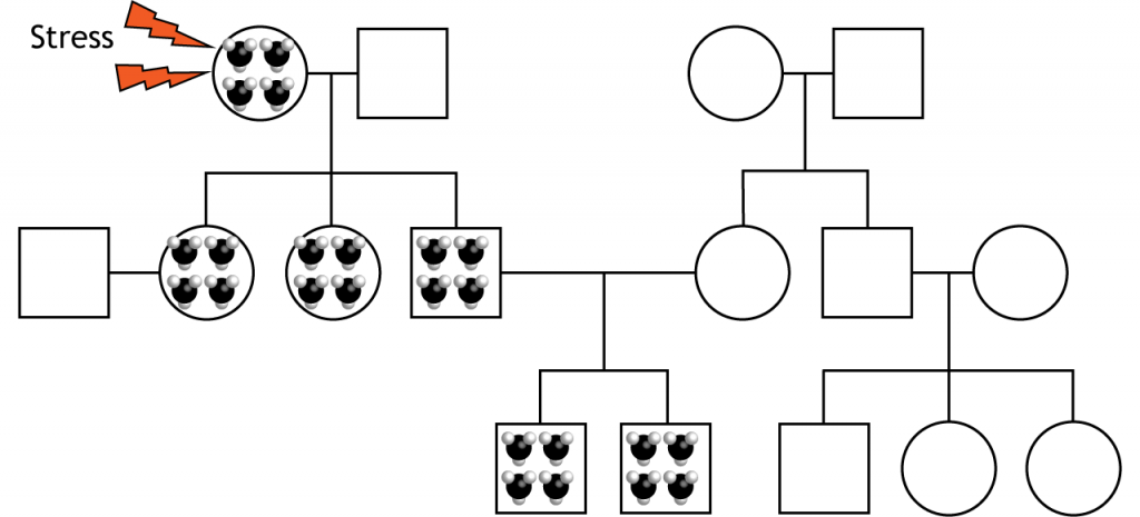 Illustration of a family tree diagram showing inherited epigenetic factors.