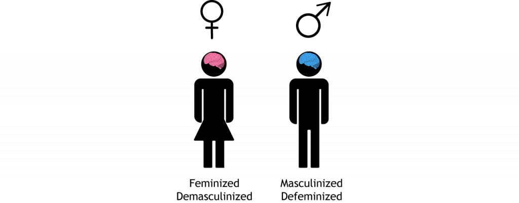 Female and male icons with pink and blue brains, respectively.