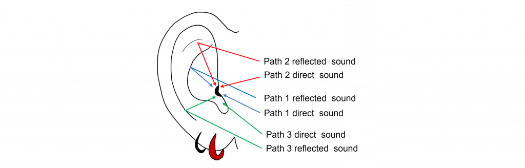 Illustration of the human pinna showing different paths that sounds can take to help us localize sounds in the vertical plane. Details in caption and text.