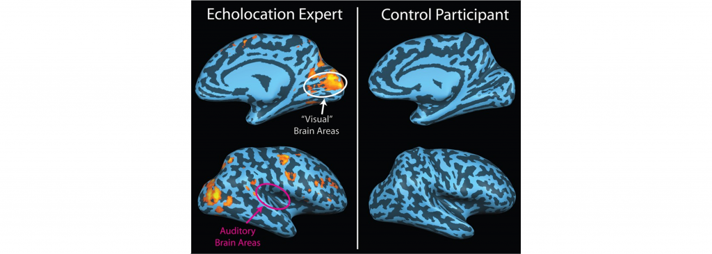 name a major goal of neuroscience research