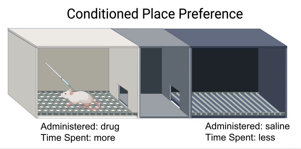Image of a conditioned place preference apparatus. Details in caption and text.